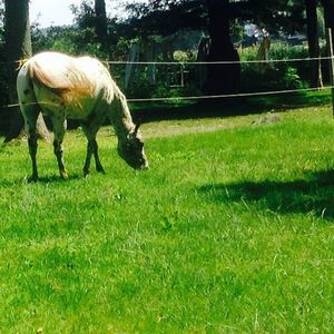 Meet your Posher, Isabella